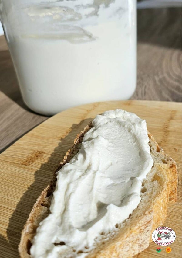 Ricotta