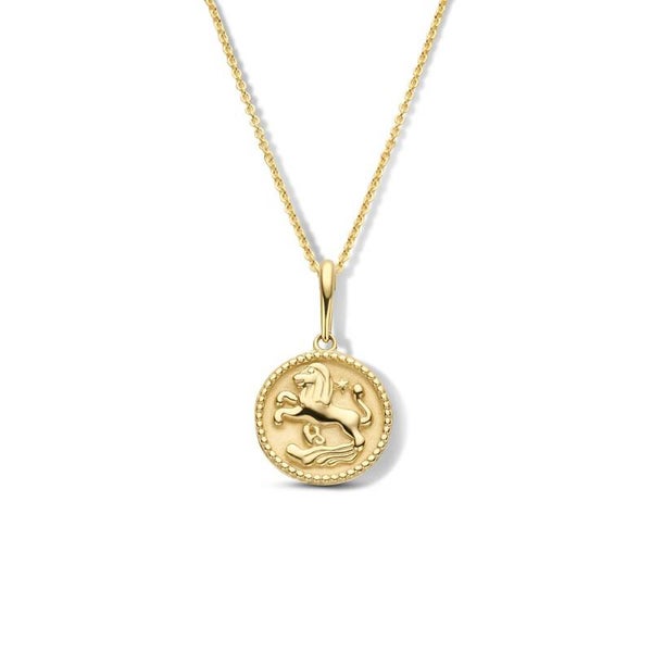 New Bling gouden sterrenbeeld collier