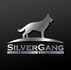 SilverGang-Hodowla Owczarka Staroniemieckiego