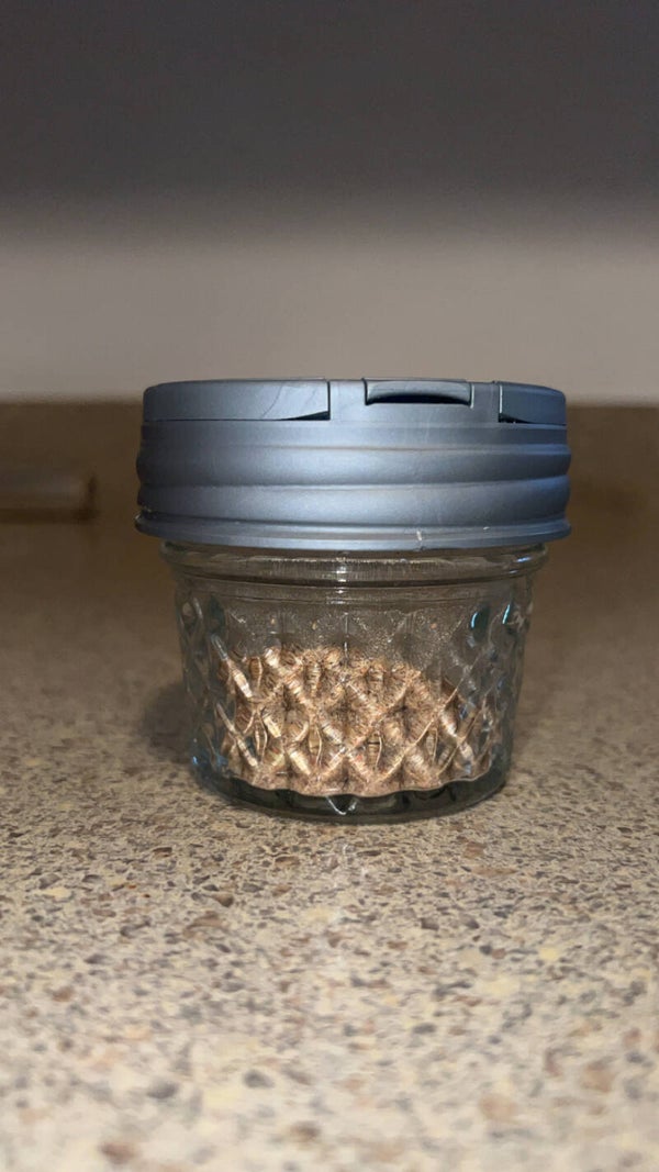 homemade mac n cheese seasoning