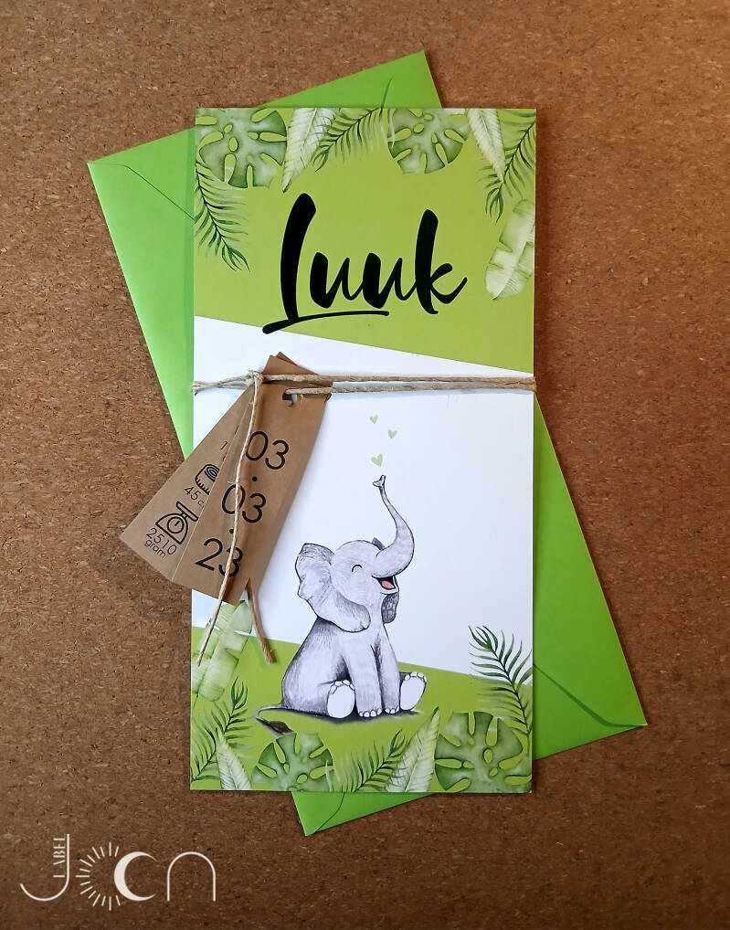 geboortekaartje_luuk_labeljoon