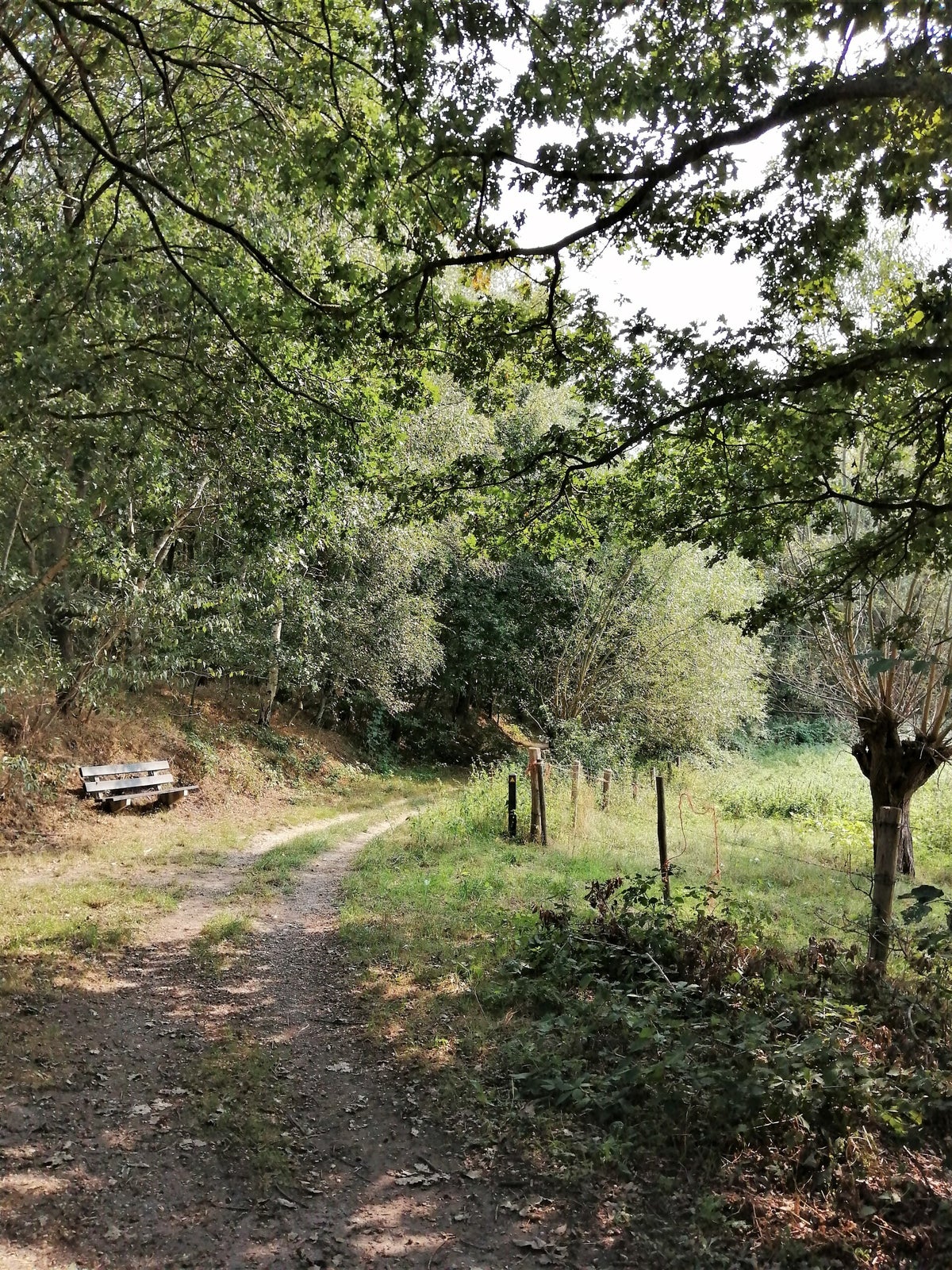 Busjop-de kleine tocht, Roggel / Limburg | Wandelingen met Willem