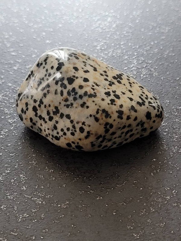 Jaspe Dalmatien