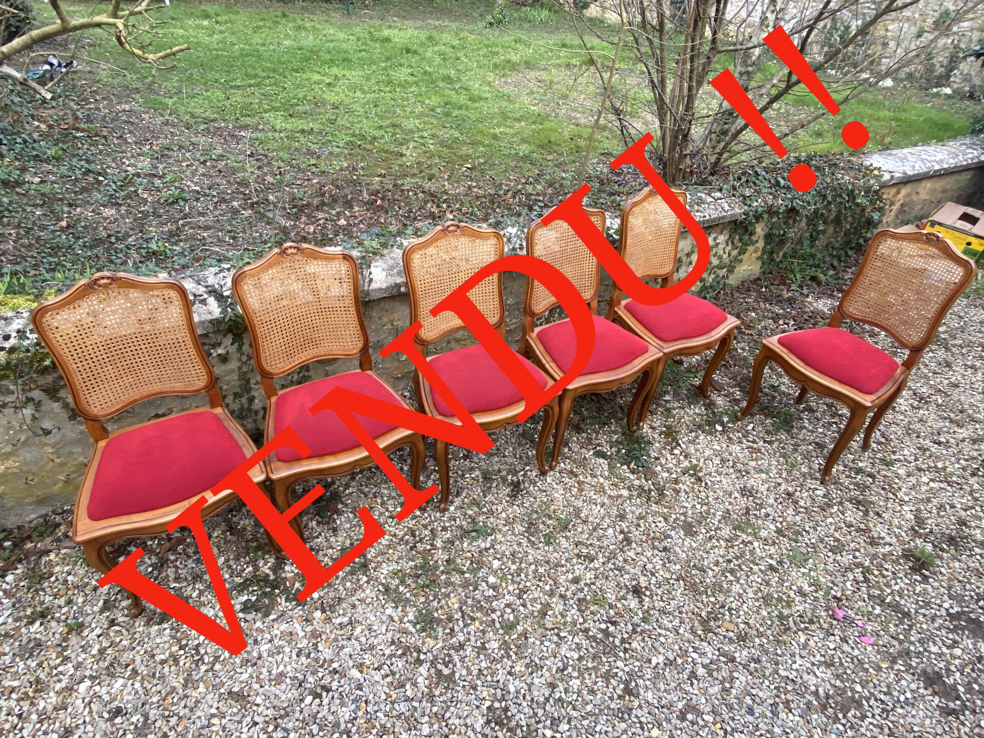 Lot de 6 chaises en Merisier