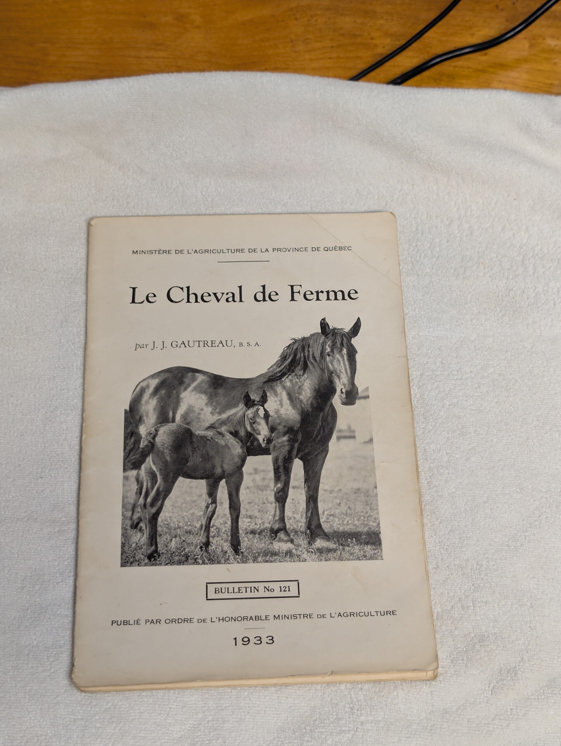 Cheval de ferme 1933