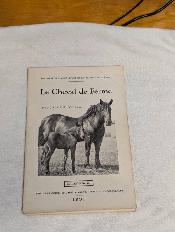 Cheval de ferme 1933