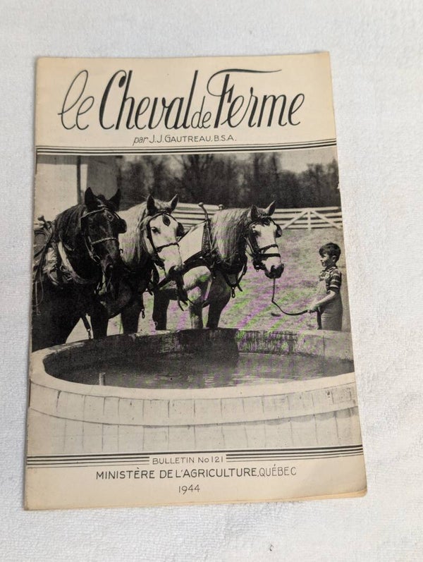 Cheval de ferme  1944
