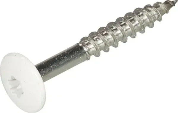 HPL SCHROEF WIT <RAL 9010  4,8X38