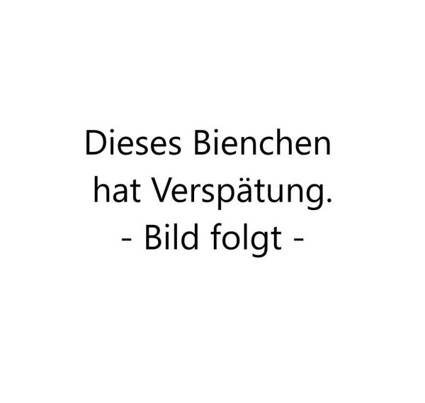 Honig Sommertracht Ernte 2026 - flüssig