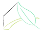 evergreen living constructions