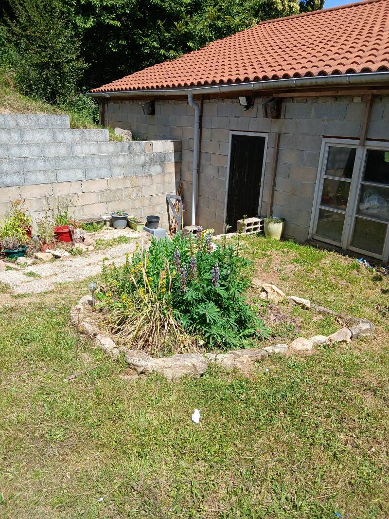 20260613_152214-standard.jpg