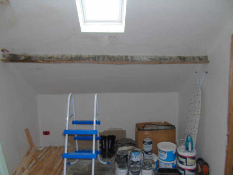 dsc02808-standard.jpg