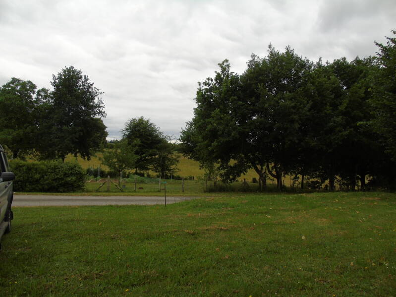 photo_e5c3714434ee3a37f338b4936e6283fb-standard.jpg