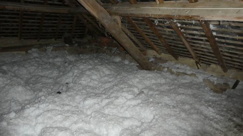 photo_fdfbed3b323bed2abf504ebebd025da8-standard.jpg