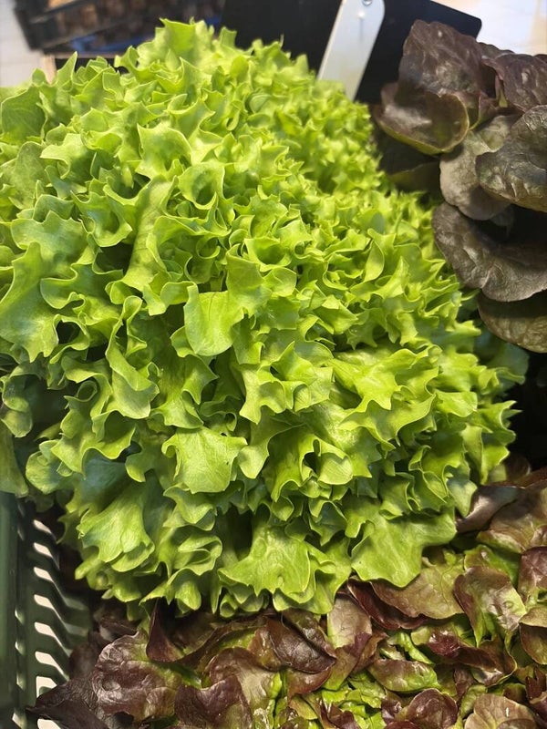 Salades d'Aubord