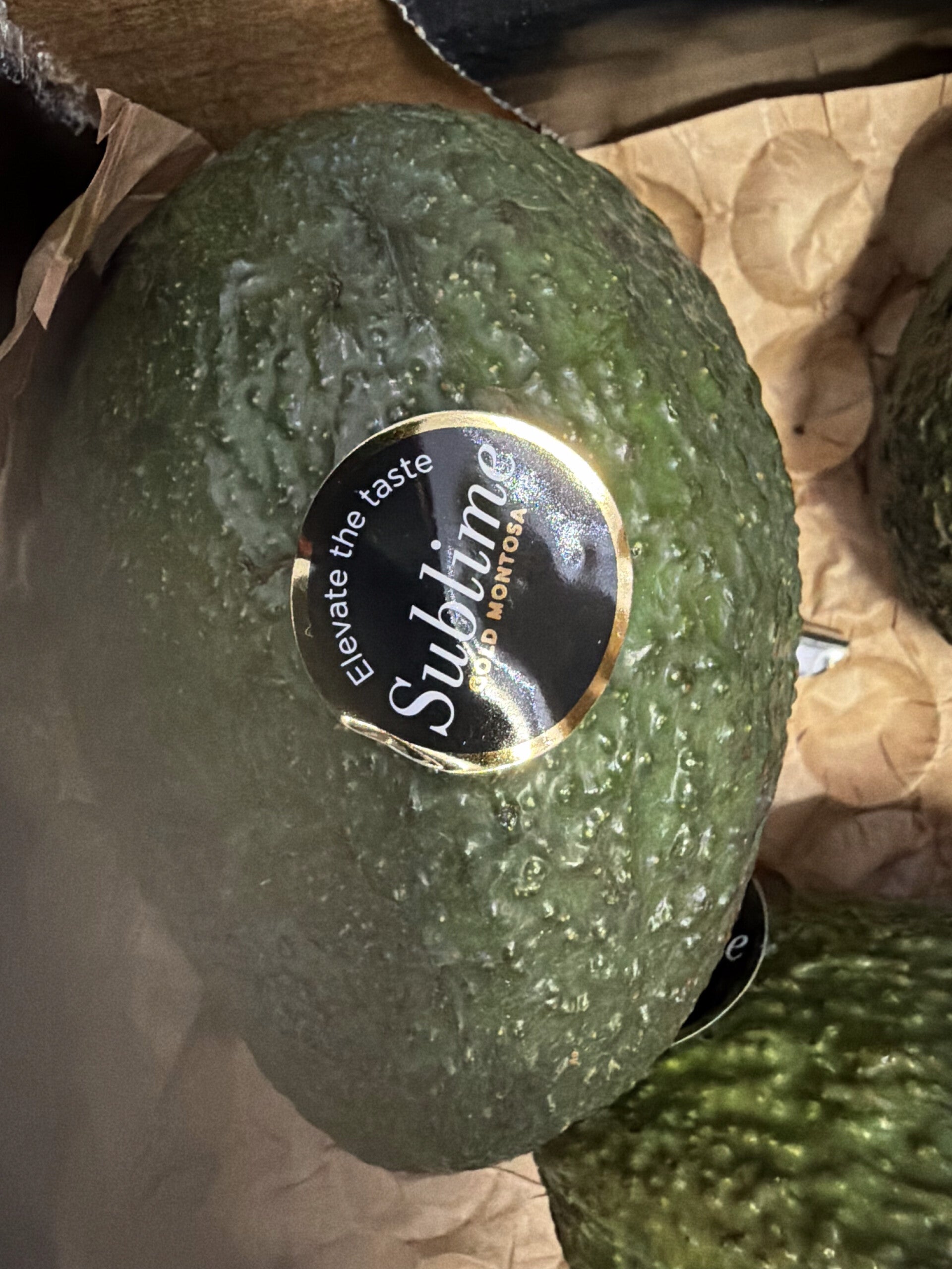 Avocats