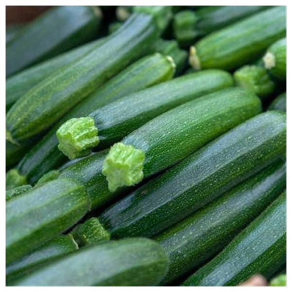 Courgettes