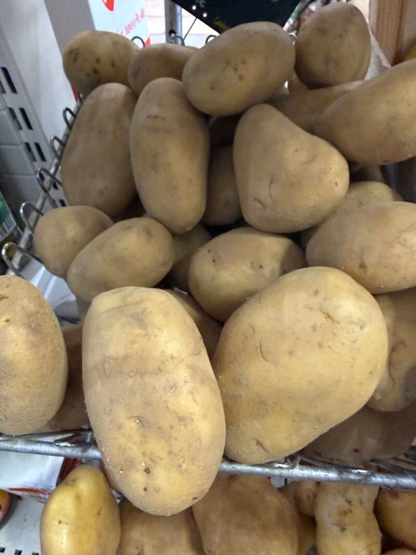 Pomme de terre