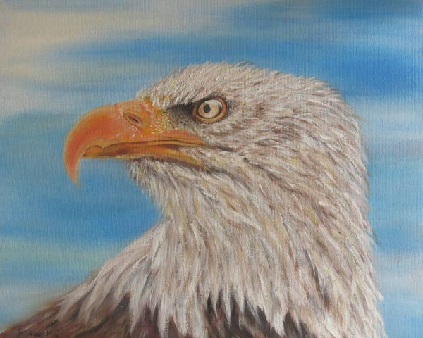 Observer - eagle