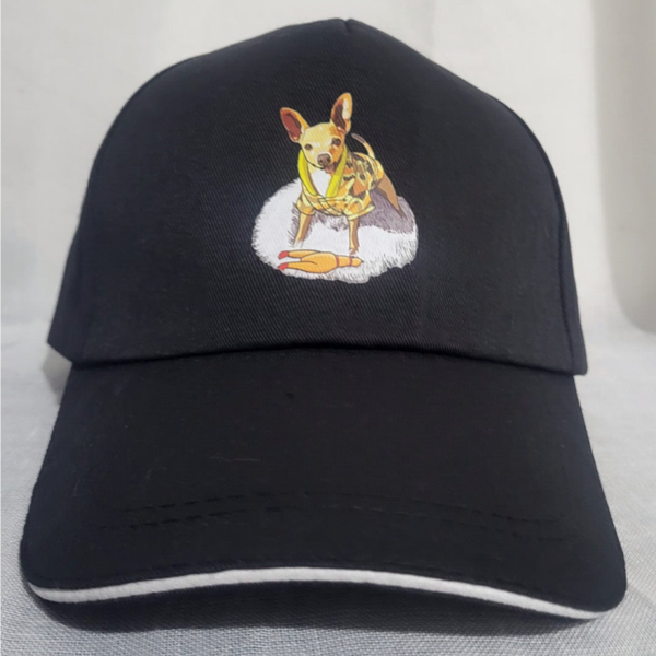 Gorra Béisbol.