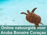 Online natuurgids voor Aruba Bonaire Curaçao