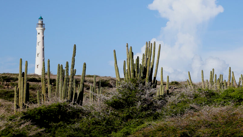Wandelen Aruba