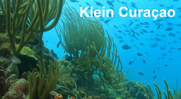 snorkelen Klain Curacao onderwaterwereld met heel helder water