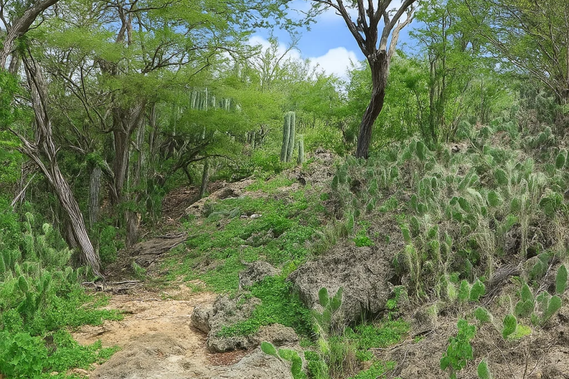 Hiking wandelen trails Curacao Bonaire Aruba