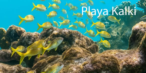 onderwater bij Playa Kalki snorkelen Alice in Wonderland