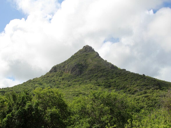 Aruba Bonaire Curacao ABC eilanden Islands Nederlandse Antillen Dutch Antilles Caribisch caribbean