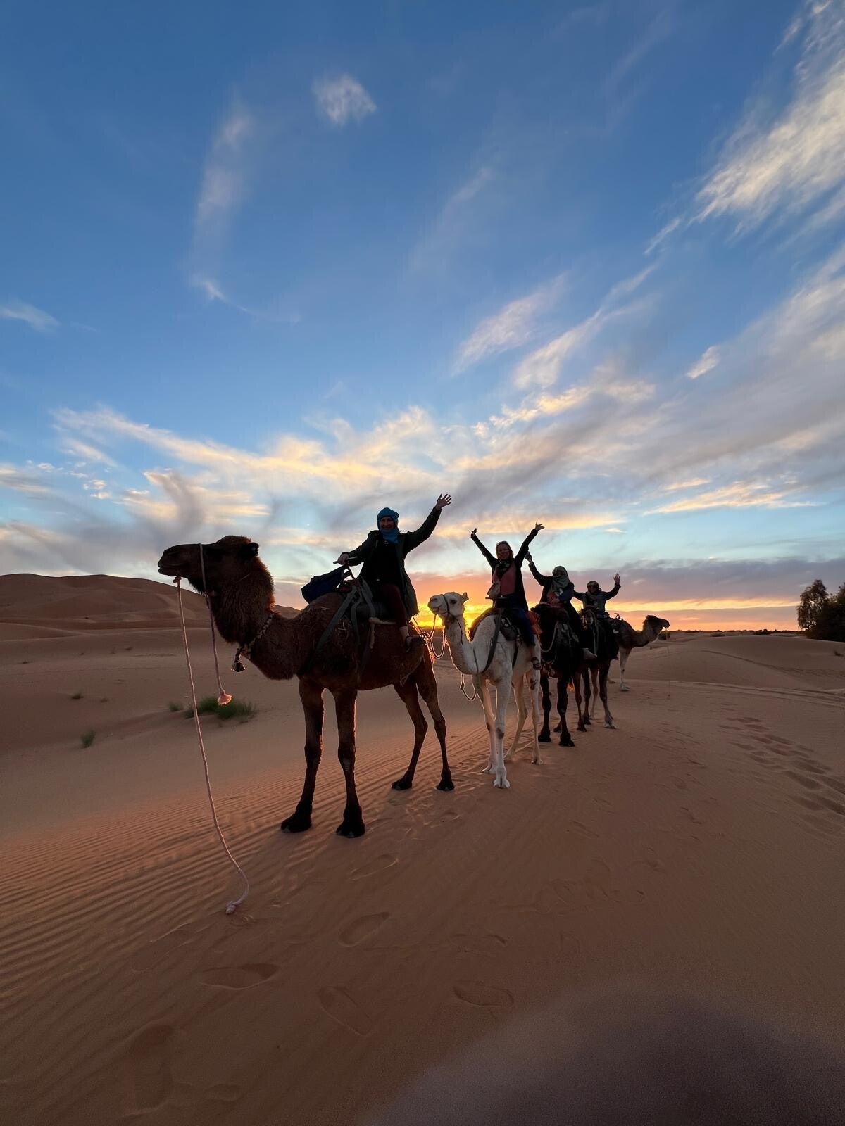 Yoga retreat group enjoying a magical camel ride at sunset in the Sahara Desert, Merzouga Morocco