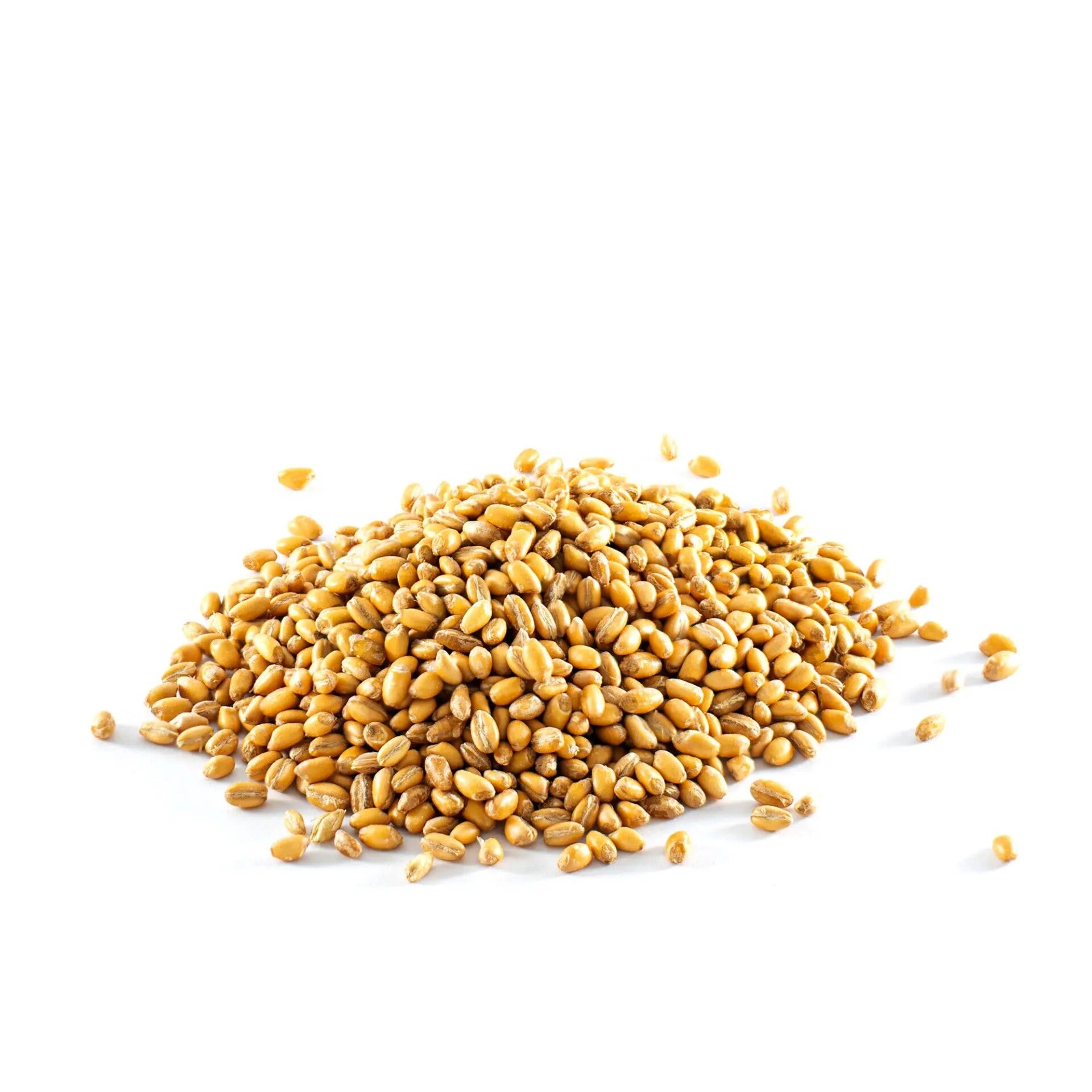 Wheat from El Berguedà