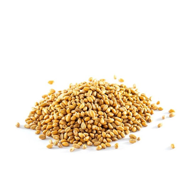 Wheat from El Berguedà