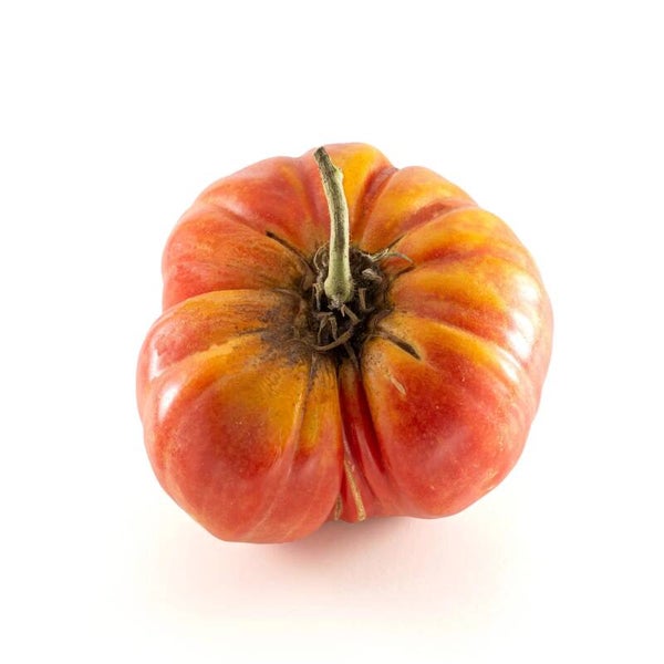 Tomato Mando from Collserola