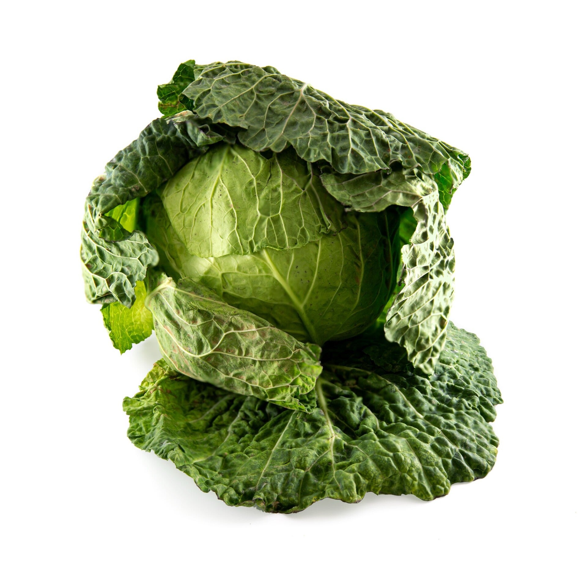 Green Cabbage from Manresa