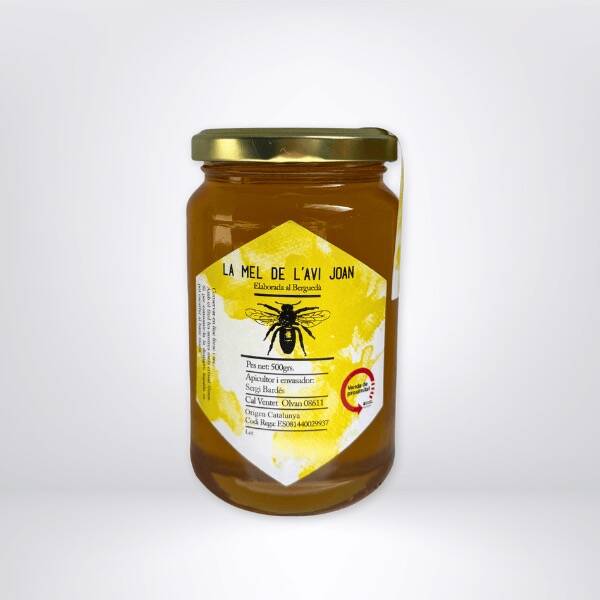 Thyme Honey -l'Avi Joan- 500g