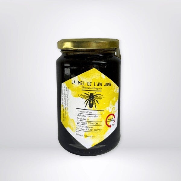 Mountain Honey -l'Avi Joan- 500g