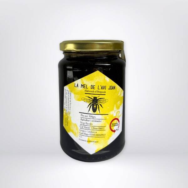 Mountain Honey -l'Avi Joan- 500g