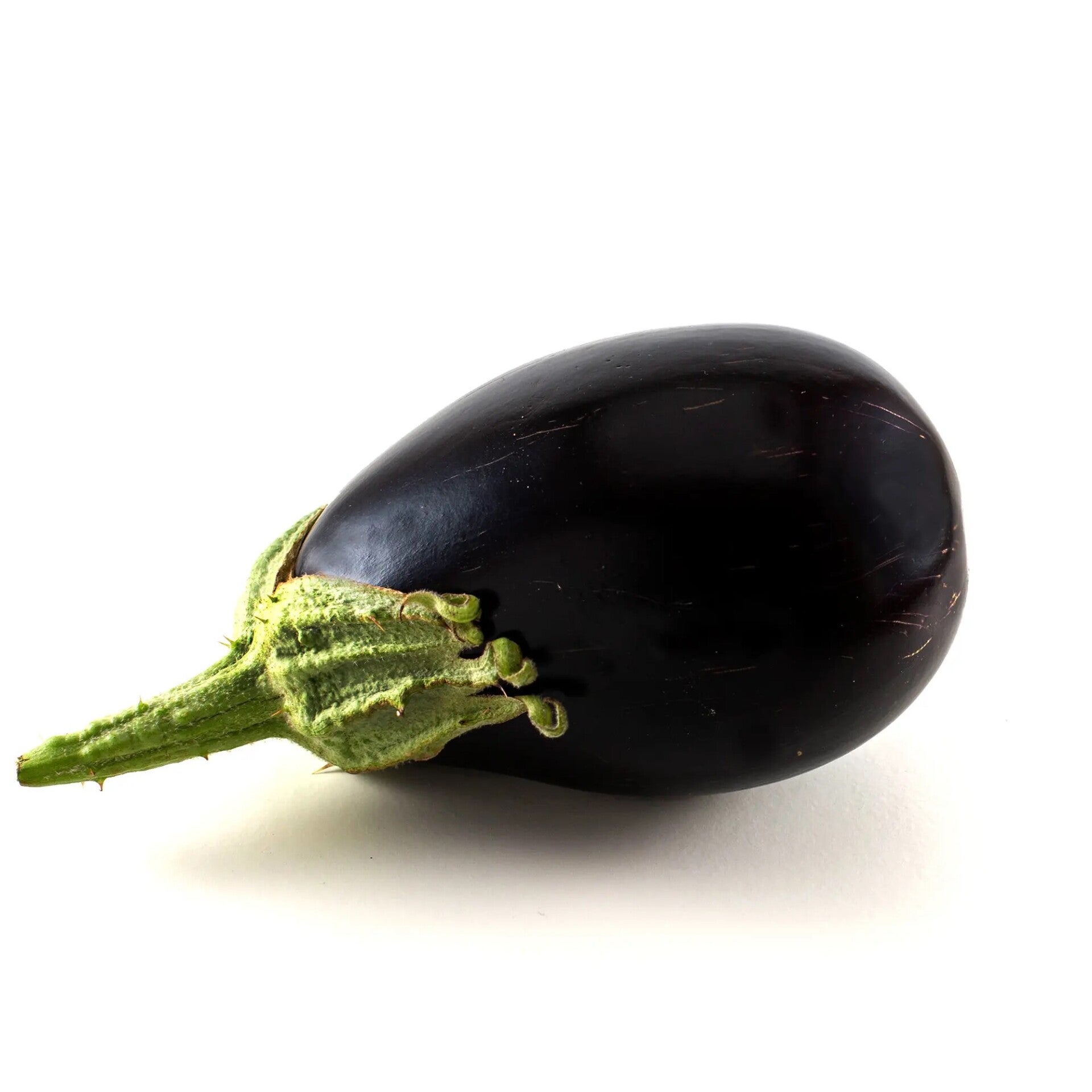 Black Aubergine from l'Empordà