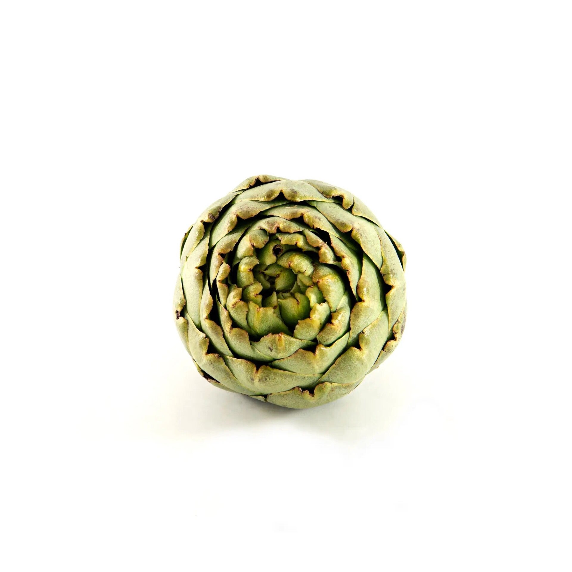 El Prat Artichoke
