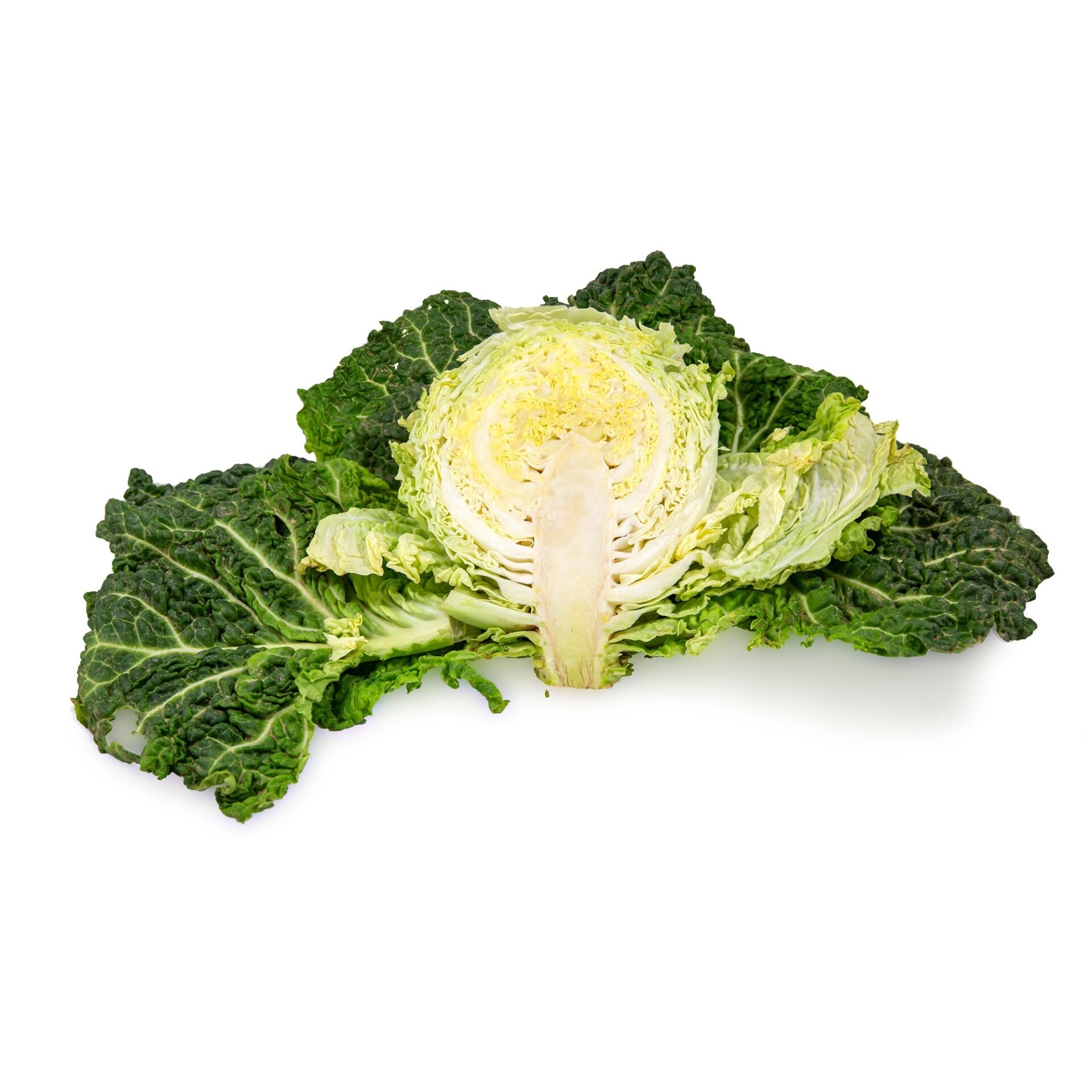 Paper Cabbage from El Vallès