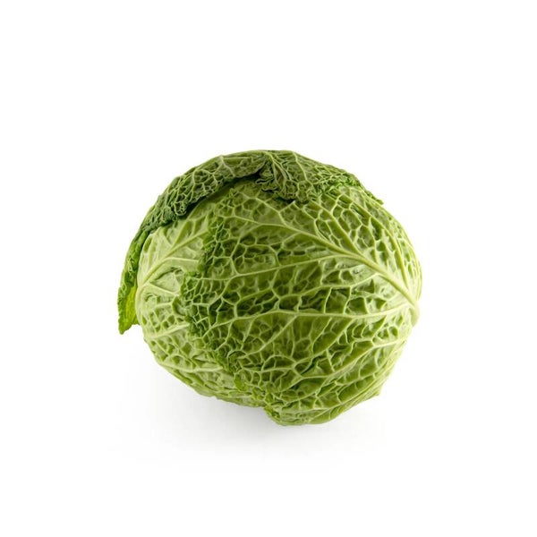 Galapet skin Cabbage