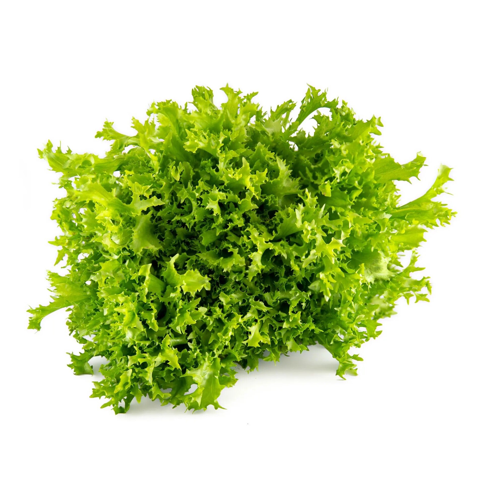 Angel Haired Escarole