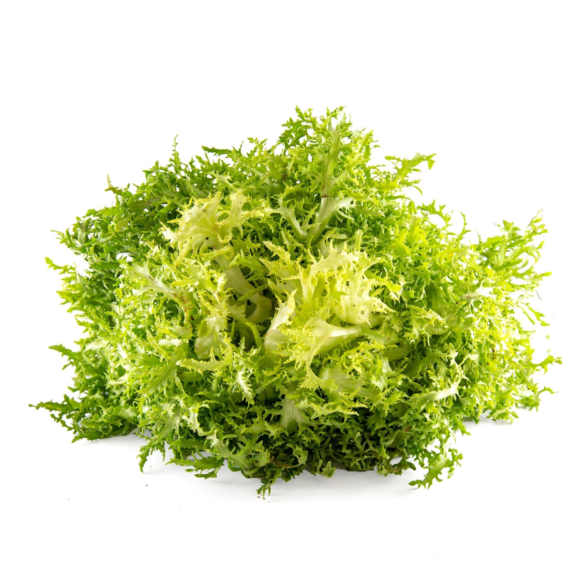 Garraf Wig Escarole