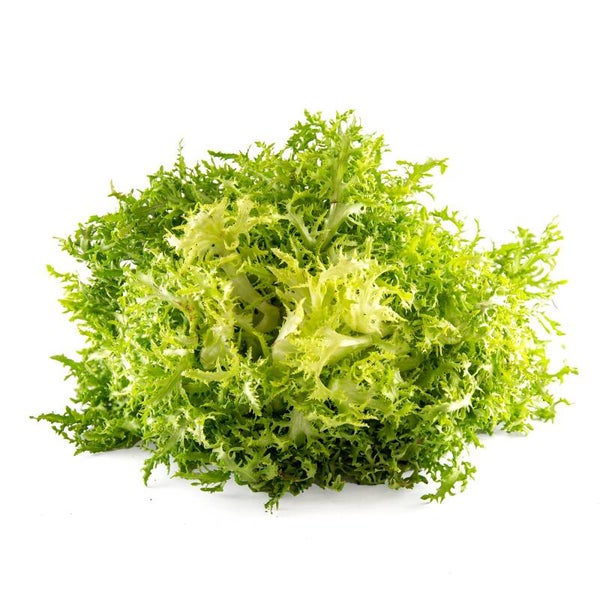 Garraf Wig Escarole