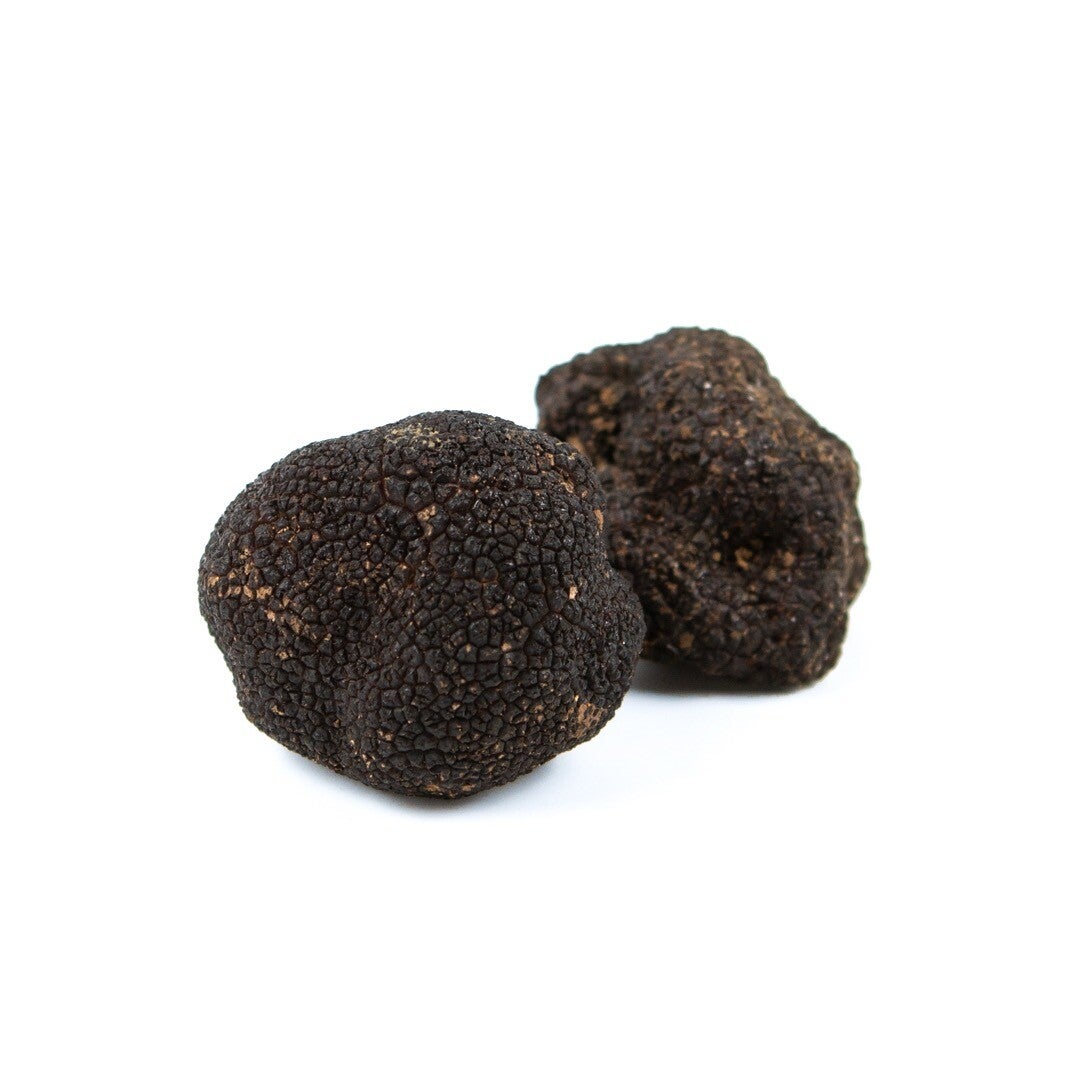 Black truffle from the Pyrenees.