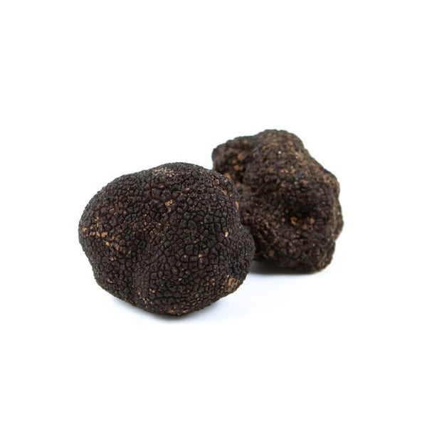 Black truffle from the Pyrenees.