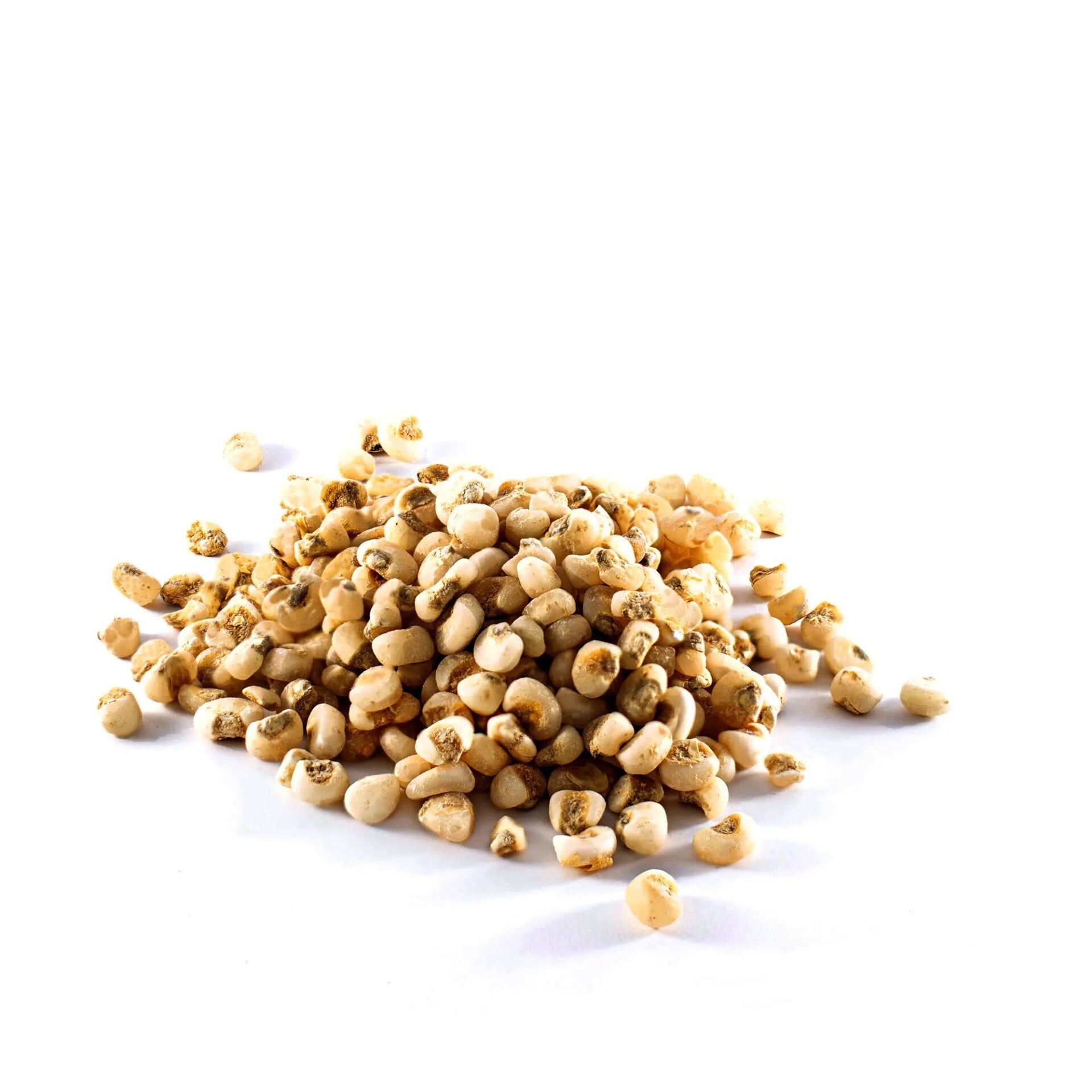 Corn from El Berguedà