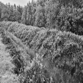 20231013_171330.jpg