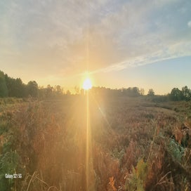 20231013_175457.jpg